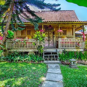 Deluxe Bungalow